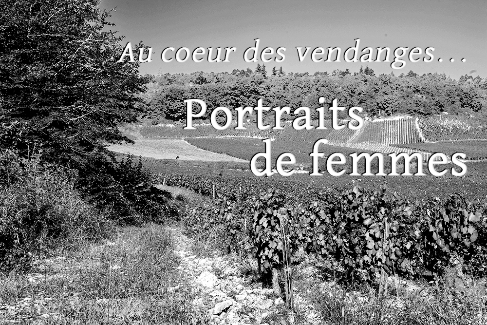 Au coeur des vendanges... <br>Portraits de femmes