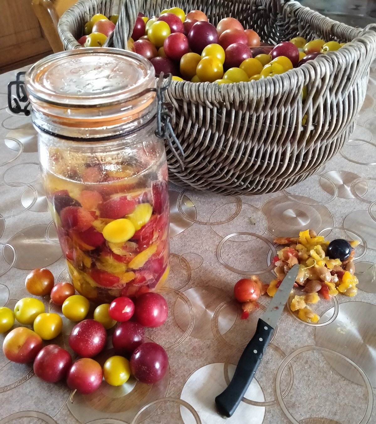 Liqueur de prunes sauvages