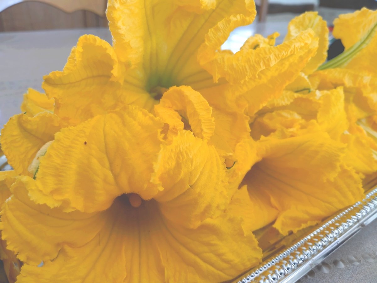 Fleurs de courgettes farcies au four<br>(3 recettes)