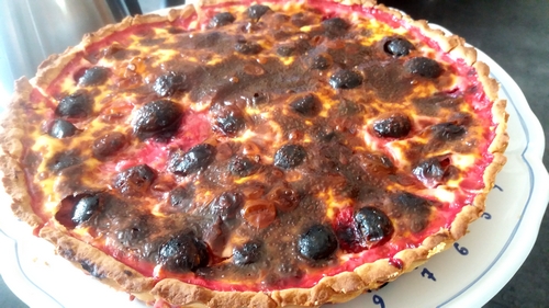 Tarte aux prunes sauvages