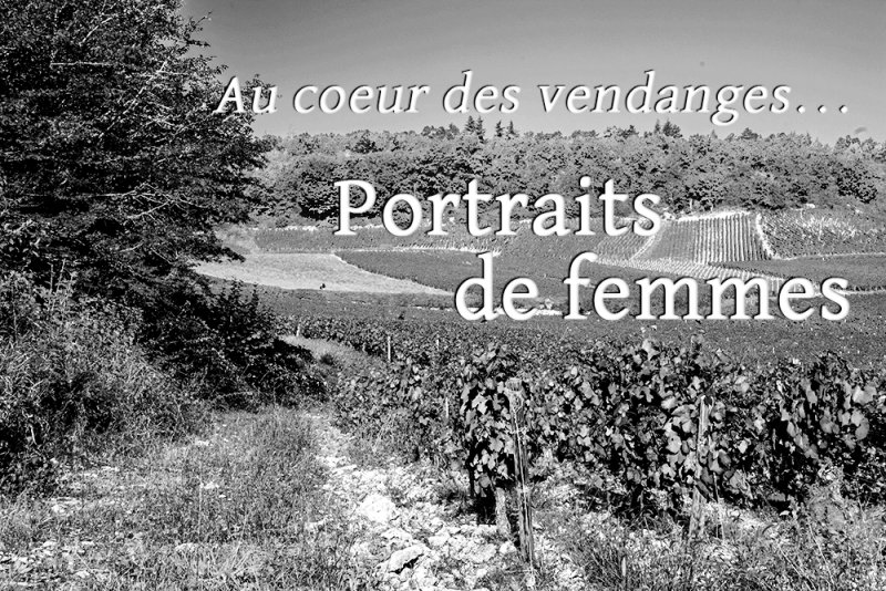 Au coeur des vendanges... <br>Portraits de femmes